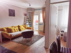 New elegant apartment with free parking and wifi